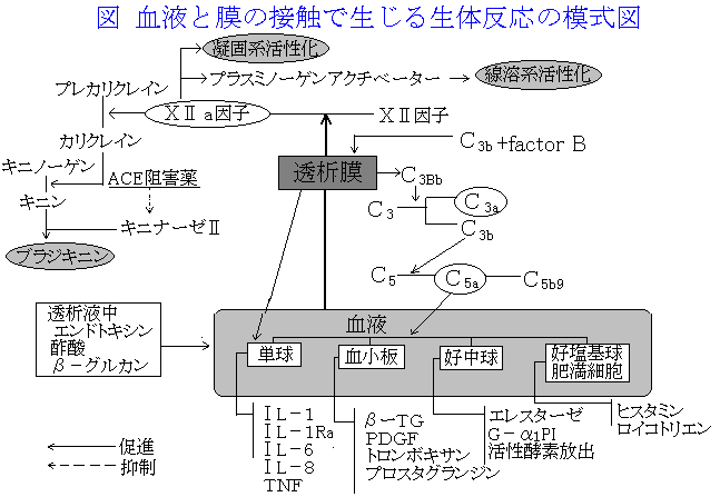 フサン 透析